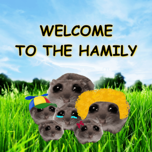 The Sad Hamster meme coin HAMMY is Gaining Attention as a Potential Community-driven Success Story