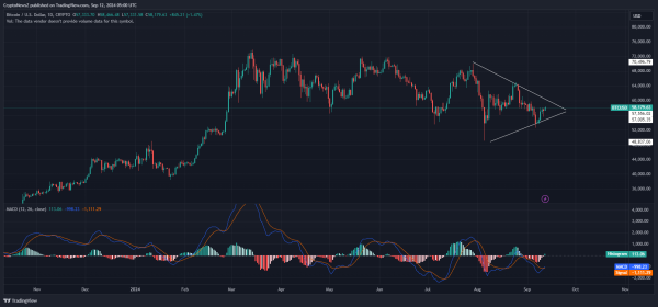 CryptoNewsZ Provides Key Insights on Bitcoin Unstoppable Network Strength Price Jumps 2024 Projections