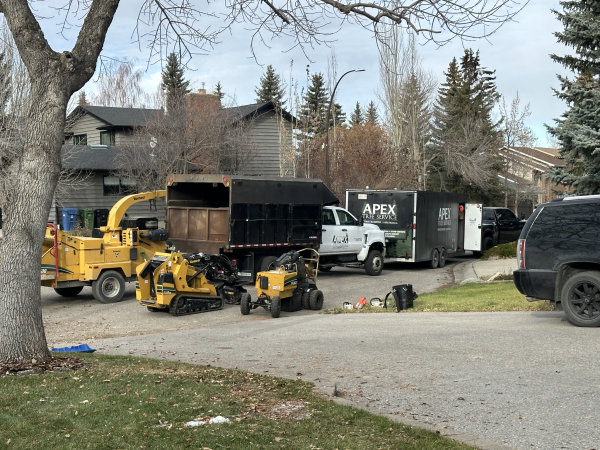 Apex Tree & Snow Services Strengthens Its Position as a Leading Property Maintenance Provider Across Calgary